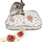 Rocfish Interactive Cat Toys Ball - Automatic Fast Rolling Ball in Play Mat, Hide and Seek Mouse Catching Game, Low-Noise Cat Enrichment Toys in Pouch for Indoor Bored Cats (Red Toy & Square Mat)
