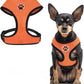 BINGPET No Pull Dog Harness,Soft Mesh Breathable All Weather Vest Harness,Safety Protection Design Durable Adjustable Step-in Easy Walk Dog Harness for Small Medium Large Dogs(Orange,XS)