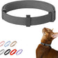 Safety Cat Collar Pro - U.S. IDA Gold Awarding Design, Elastic Quick Release Cat Collar with Buckle Non Breakaway - Lightweight for Kitten All Small Large Cats (Space Gray, S 5.9-11.8")