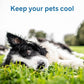 The Green Pet Shop Cool Pet Pad - Large, Disney’s Stitch - Self-Cooling, Pressure Activated Mat for Dogs & Cats from 46-80 lbs - Non-Toxic Gel, No Water Needed