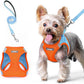 rabbitgoo Dog Harness Small Sized and Leash Set, Step in Soft Light Puppy Vest, Breathable Mesh Pet Harness, Reflective for Safe Easy Walking, Blue & Orange XS