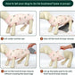 Kuoser Recovery Suit for Dogs Cats After Surgery, Professional Pet Recovery Shirt Dog Abdominal Wounds Bandages, Substitute E-Collar & Cone,Prevent Licking Dog Onesies Pet Surgery Recovery Suit