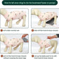 Kuoser Recovery Suit for Dogs Cats After Surgery, Professional Pet Recovery Shirt Dog Abdominal Wounds Bandages, Substitute E-Collar & Cone,Prevent Licking Dog Onesies Pet Surgery Recovery Suit