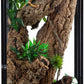 REPTI ZOO 18" x 18" x 36" Front Opening Chameleon Cage with 3-Sided Metal Mesh, 50 Gallon Screen Vertical Terrarium with Background Sticker, Tall Enclosure for Chameleon, Tree Frog, Arboreal Reptiles