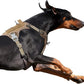 BUMBIN Tactical Dog Harness for Large Dogs No Pull, Famous TIK Tok No Pull Dog Harness, Fit Smart Reflective Pet Walking Harness for Training, Adjustable Dog Vest Harness with Handle Brown XL