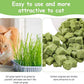 HavenJanny 120g Freezed Drying Cat Grass Treats for Cats, Cat Grass Teething Stick Snacks for Cats Hairball Removal and Teeth Cleaning