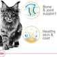 Royal Canin Feline Breed Nutrition Maine Coon Adult Thin Slices in Gravy Canned Cat Food, 3 oz can (24-count)