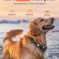 XDX 2-in-1 Dog Shock Collar & Bark Collar – 3300FT Dog Training Collar with Remote, Automatic Anti-Barking, 5 Adjustable Sensitivity Levels, IP67 Waterproof E-Collar for Small Medium Large Dogs