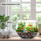 15LB Succulents Rocks for Plants Cactus Gravel Pebbles for Fish Tank 1/2 Inch Natural River Rocks for Vase, Aquarium, Landscaping,Bonsai,Terrarium Pebbles, Mixed Color