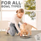 Dog Food Mat Round 10" - Raised Edges Dogs Mat for Food and Water Prevent Spill, Waterproof Cat Food Mats Protect Floors, Easy Clean Dog Bowl Mats for Food and Water, Silicone Pet Feeding Placemats