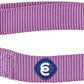 Blueberry Pet Essentials Matching Medium Dog Collar | Adjustable Classic Solid Color Nylon Dog Collars for Medium Dogs | Purple Dog Collar for Medium Dogs