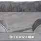 The Dog’s Bed, Orthopedic Standard Foam Waterproof Dog Bed with Standard Support, Medium Silver Grey Plush, Waterproof, Supportive Dog Bed with Replaceable Covers, Veterinary Approved