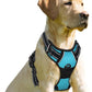 BARKBAY No Pull Dog Harness Front Clip Heavy Duty Reflective Easy Control Handle for Large Dog Walking(Blue,L)
