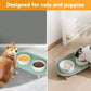 Elevated Dog Bowls Set, Ceramic Pet Food & Water Bowls with Non-Slip Stand, No Spill Design for Cats/Small Medium Dogs Green