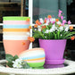 10 Pack 4 Inch Plant Pots Bulk Small Plastic Planters Pots with Drainage Holes Flower Pot for Succulent, Cactus, Herb, African Violet (10pcs-Multicolor, 4Inches)