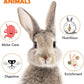 Sofier 12Pcs Timothy Hay Treats - Natural Chews for Teeth - Handmade Rabbit, Chinchilla, Gerbil, Rat, Hamster Toys - Bunny & Guinea Pig Toys