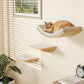 Cat Window Perches, Curved Cat Wall Beige Bed and 2 Floating Wall Steps, Wall Mounted Climbing Shelves for Sleeping, Playing, and Lounging