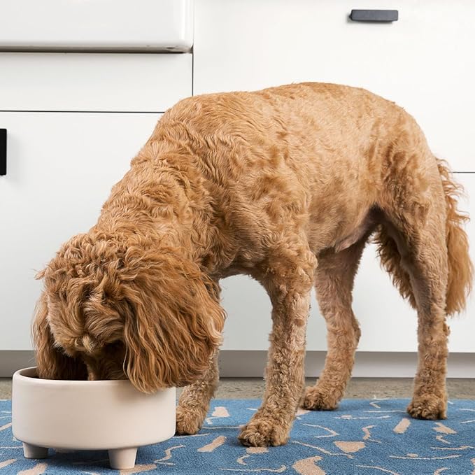 Waggo Uplift Ceramic Dog Bowl for Small Medium and Large Breeds - Heavyweight and Durable Pet Food and Water Dish Crock, Dishwasher Safe, Modern, Elevated Feeder (Buttercream, Medium)