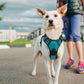 rabbitgoo Dog Harness No Pull with 2 Leash Clips, Adjustable Soft Padded, Reflective Oxford No Choke Pet Vest with Easy Control Handle for Large Dogs, Teal, L