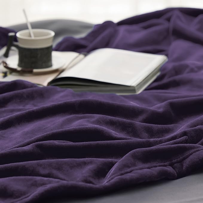 Bedsure Fleece Blanket Twin Size Purple - 300GSM Lightweight Plush Fuzzy Cozy Soft Warm Blanket for Bed, Sofa, Couch, Travel, Camping, 60x80 inches