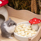 Niteangel Hamster Snack & Treats Toy - Small Animal Natural Treat for Dwarf Syrian Robo Hamsters Gerbils Mice Lemmings Degus or Other Small-Sized Pets