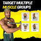 Premium RipStick Pillz, Workout Equipment for Joint Rehab, Shoulder Strength, Resistance Training, and Muscle Building, with 6 Adjustable Resistance Bands