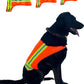Reflective Dog Vest – Fluorescent Orange | High-Visibility, Water-Resistant Safety Jacket with Adjustable Fit for Day & Night Walks, Hiking, Hunting, and Outdoor Use (Large)