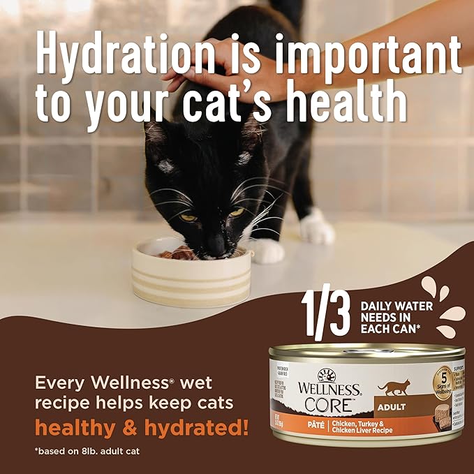 Wellness CORE+ Immune Health Pate Adult Wet Cat Food, Natural, Protein-Rich, Grain Free, 2.8 Ounce, 12 Pack (Chicken & Turkey)