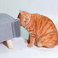 Extended (6.1") 2 Pack Self Grooming Cat Brush - Wall Corner Scratcher with Massage Combs for Long and Short Fur Cats, Kittens (Grey)