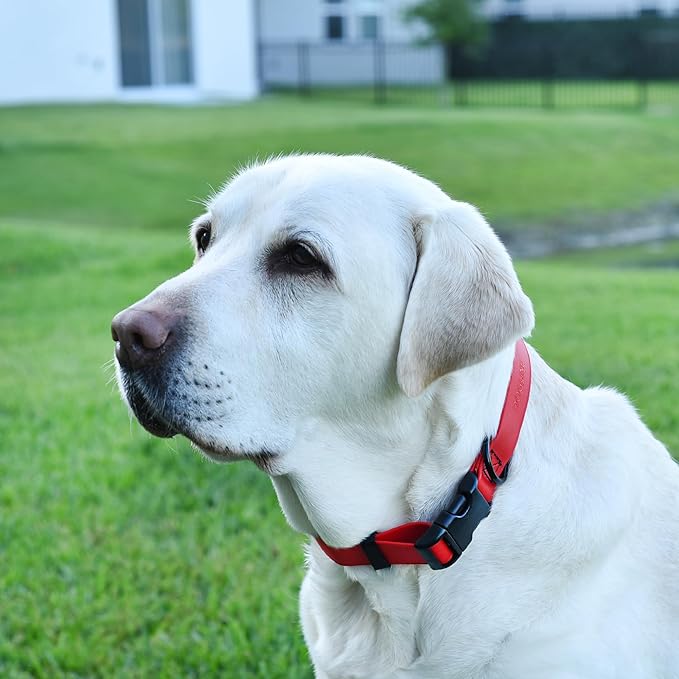 Dogline Biothane Waterproof Dog Collar with Quick Release Buckle Strong Coated Nylon Webbing with Odor- Proof for Easy Care Easy to Clean Fits Small Medium or Large Dogs, Red 3/4" W 12-19" L