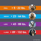 FRONTLINE Plus Flea and Tick Treatment for Large Dogs Up to 45 to 88 lbs. 3 Treatments