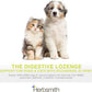Herbsmith Organic Slippery Elm - Digestive Aid for Dogs and Cats - Constipation and Diarrhea Relief for Dogs and Cats - Megaesophagus Dog Aid - 150g