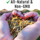 Herb Supplement for Backyard Chickens - Natural Chicken Treats, Poultry Feed Botanical Mix, Plant-Based Coop Snacks for Daily Wellness, Feather Quality, Egg Production, USA (12 oz)