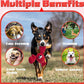 JKW Squeaky Dog Toy for Small & Medium Dogs, Puppy Plush Toys (S, Lobster)