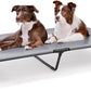 Heeyoo Elevated Dog Bed, Cooling Raised Pet Cot with Chew Proof Washable Breathable Mesh and Metal Frame, Portable Dog Cot Bed with No-Slip Feet for Outdoor or Indoor Use