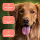 COAT DEFENSE Paw Licker Bundle | Dry Powder for Dogs & Sensitive Skin Dog Shampoo for Allergies and Itching | Smell & Itch Relief | Itchy Skin Relief & Yeast Dog Treatment