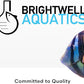 Brightwell Aquatics Rēplenish – Premium Trace & Minor Element Supplement for Marine Aquariums, Supports Healthy Fish, Corals, and Invertebrates, 20 L