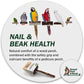 Superoost Manzanita Pumice Pedicure Perch- Easy to Install Bird Cage Accessories for Healthy Feet, Nails and Beak - Natural Bird Perches Imitates Birds' Life in The Wild - M 10"