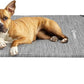 Veehoo Original Elevated Dog Bed - Outdoor Raised Dog Cot, One-Sided Raised Headboard Cooling Pet Bed, Non-Slip & Breathable, L, CWC2417A