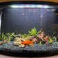 Natural Stone Aquarium Decoration 4.4 lb Dragon Stone Rock Mixed Sizes for Micro Landscape Fish Tank Decor