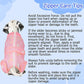 Lukovee Recovery Suit for Dogs, Zipper-On Onesie for Female Male Dog, Abdominal Wounds Cone E-Collar Alternative, Prevent Licking Spay (X-Large, A-Pink)