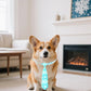 PET SHOW 10 Pack Winter Dog Ties Neckties for Large Medium Dogs Adjustable Neck Ties Girl Boy Pets Snowflake Costumes Dog Grooming Accessories Holiday Party Gift Favor