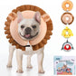 KOOLTAIL Inflatable Dog Cone Collar, Soft Dog Cone Alternative for Large Medium Small Dogs After Surgery, Adjustable Donut Neck Cone for Dogs Cats, Recovery E Collar with Enhanced Anti-Licking,Lion M