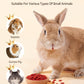 Niteangel Goji Berries Rabbits Snack Treats: 12pcs Natural Chew Toys for Bunny Chinchilla Guinea Pigs and Other Small Animals