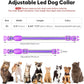 Flashseen LED Cat Collar,Light Up Dog Collar Rechargeable, Dog Lights for Night Walking, Comfortable Soft Mesh Pet Collar Adjustable for Cats Puppy and Small Dogs (Purple, XS)
