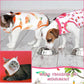 Nuanchu 3 Pieces Cat Recovery Suit Kitten Recovery Suit E-Collar Alternative for Cats and Dogs Abdominal Skin Anti Licking Pajama Clothes Sets(Fruit Pattern,Medium)