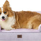 EHEYCIGA Orthopedic Dog Beds for Large Dogs, Waterproof Memory Foam Large Pet Bed with Sides, Non-Slip Bottom and Egg-Crate Foam Dog Couch Bed with Washable Removable Cover, Lilac