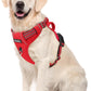 Funfox Dog Harness No Pull, Adjustable Pet Vest Harness, Super Soft Material with Vertical Handle Easy Control, Reflective Night Walking, 2 Leash Clips for Large Dogs, Red, L