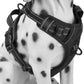 PoyPet No Pull Dog Harness, Reflective Comfortable Vest Harness with Front & Back 2 Leash Attachments and Easy Control Handle Adjustable Soft Padded Pet Vest for Small to Large Dogs (Black,XS)