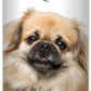 The Blissful Dog Tibetan Spaniel Unscented Nose Butter - Dog Nose Butter, 0.50 Ounce